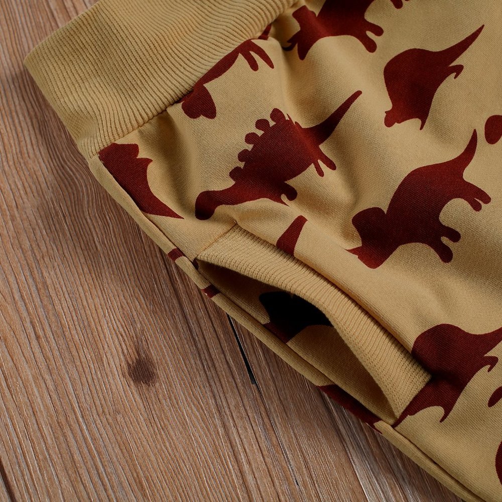 Dinosaurs Boys Hooded Sweatshirt & Pants Outfit Set - Picture 2 of 4
